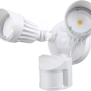 LEONLITE LED Floodlight