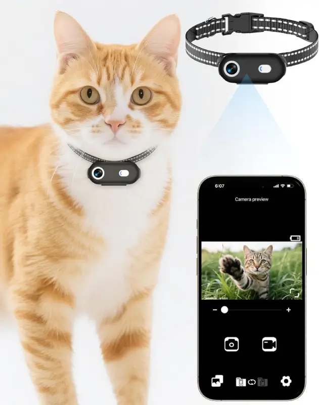 LuminiCam Cat Camera Collar with App