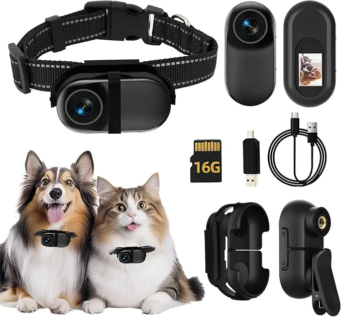 MGWDL Cat Camera Collar with Video Recording