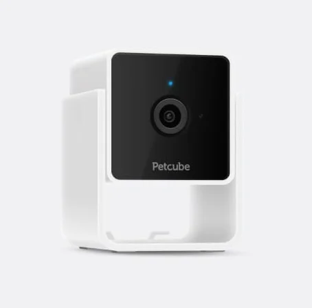 Petcube Cam